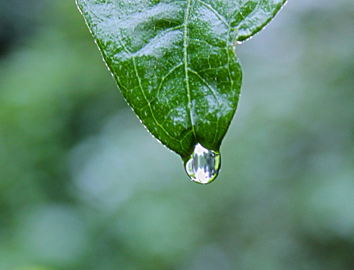 网页攻击器教程